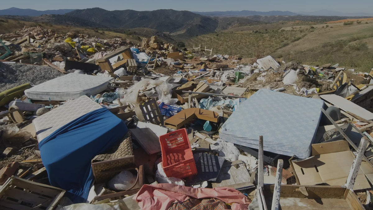 The dump mattress online sale