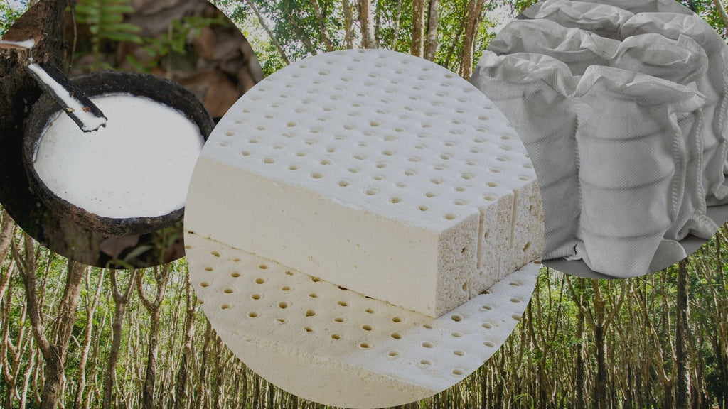 Image showing components of a mattress including hevea milk, organic latex, and pocket coils