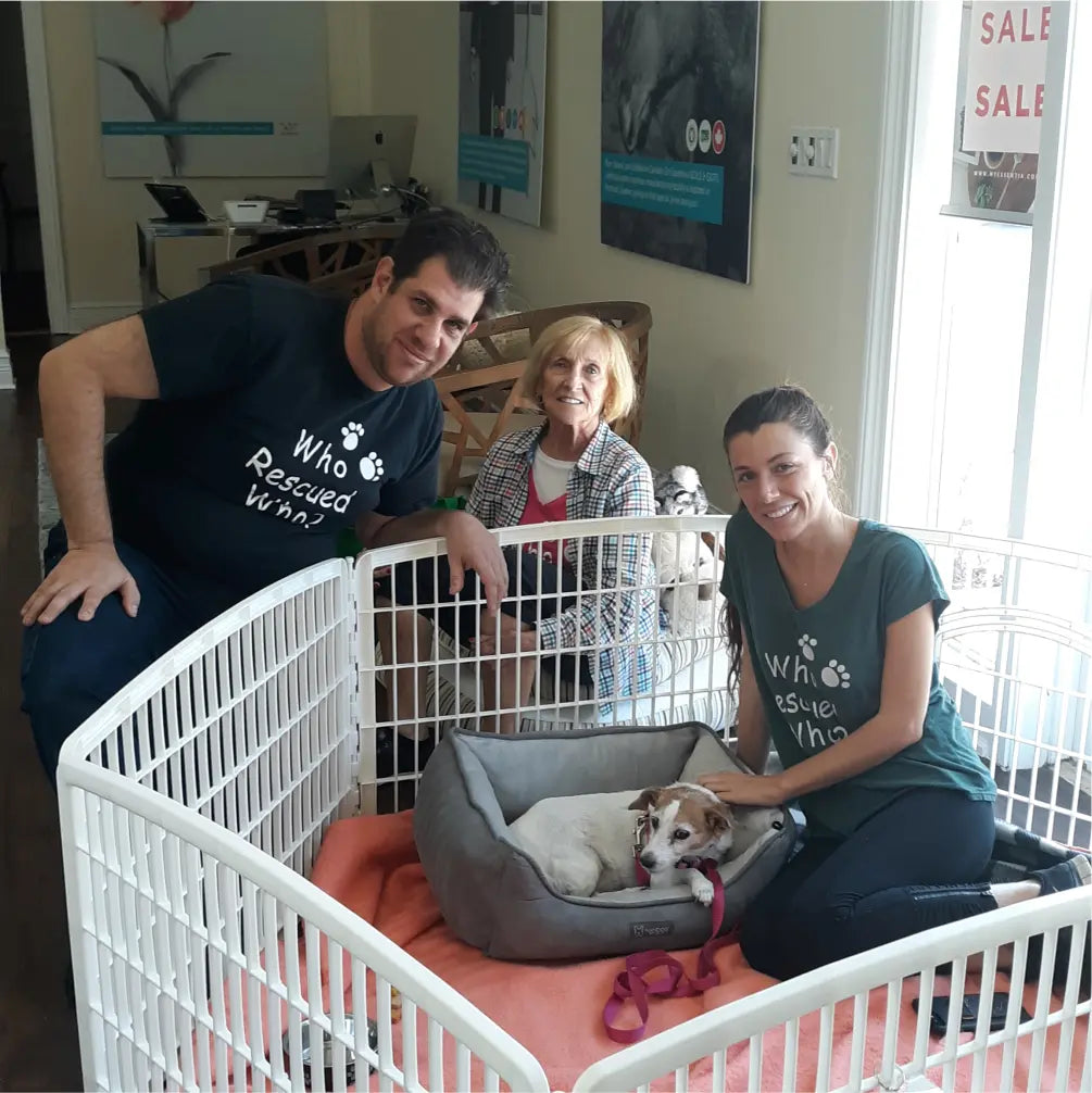 Three people sit with a rescued dog at an Essentia showroom