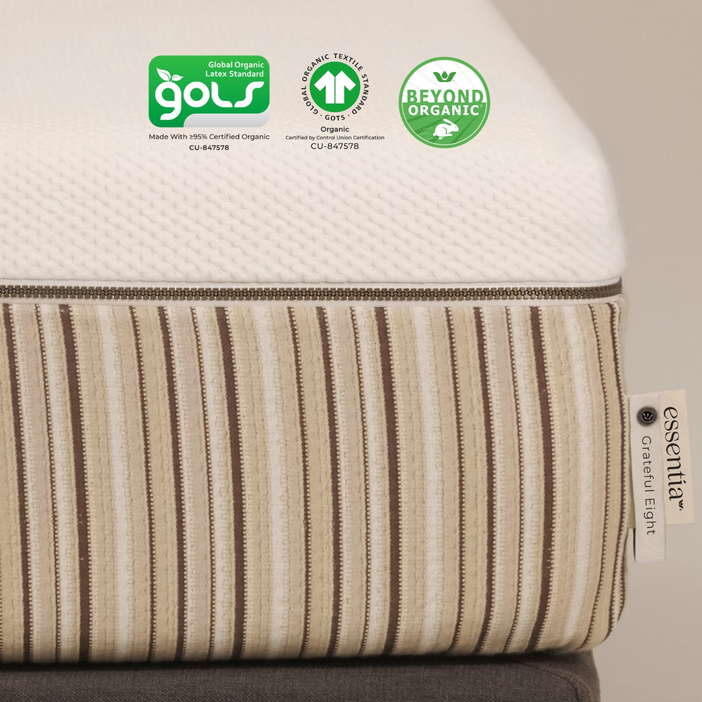 Grateful Eight Organic Latex Mattress | No Springs, No Wool.