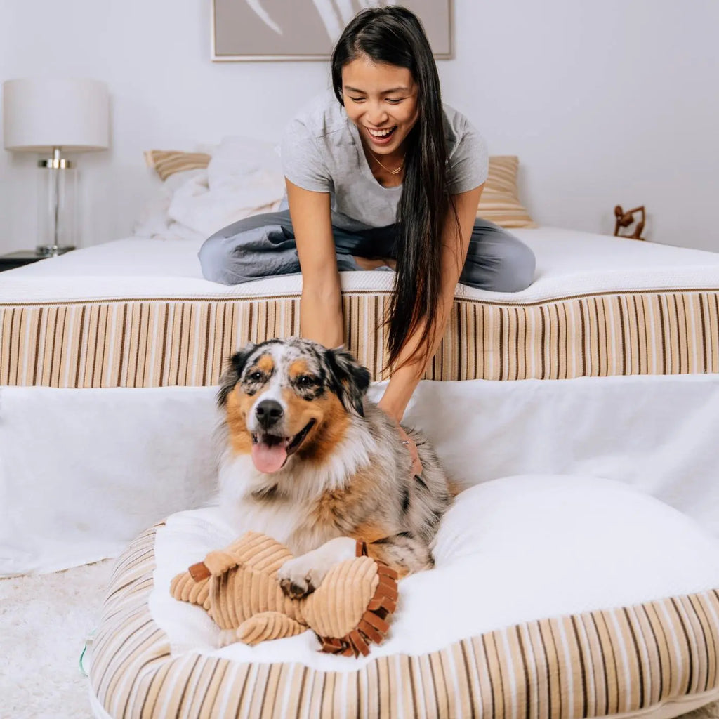 Girl on her Essentia mattress petting her dog who is on his Essentia pet bed holding a toy