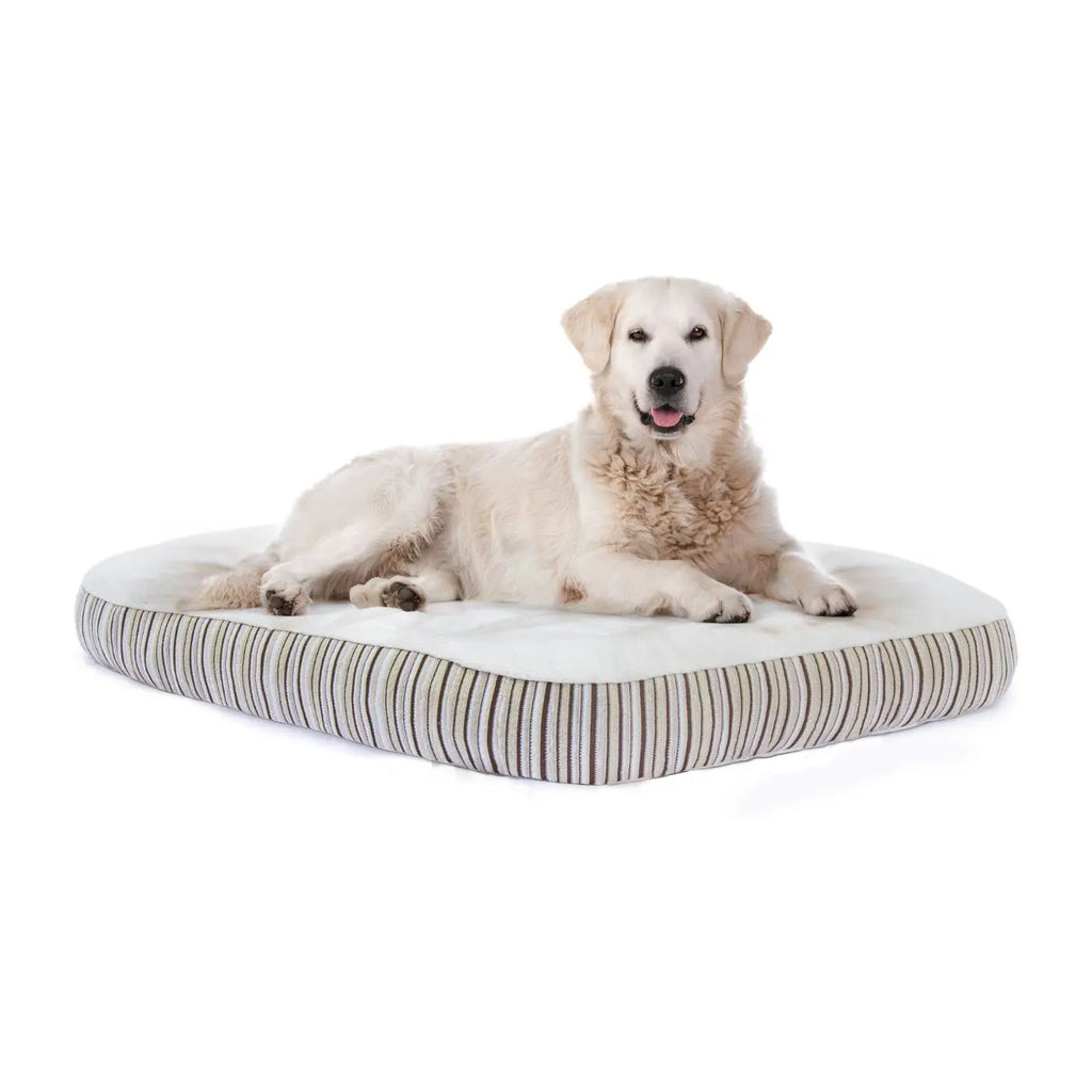 Golden Retriever shown on a large Kingston dog bed