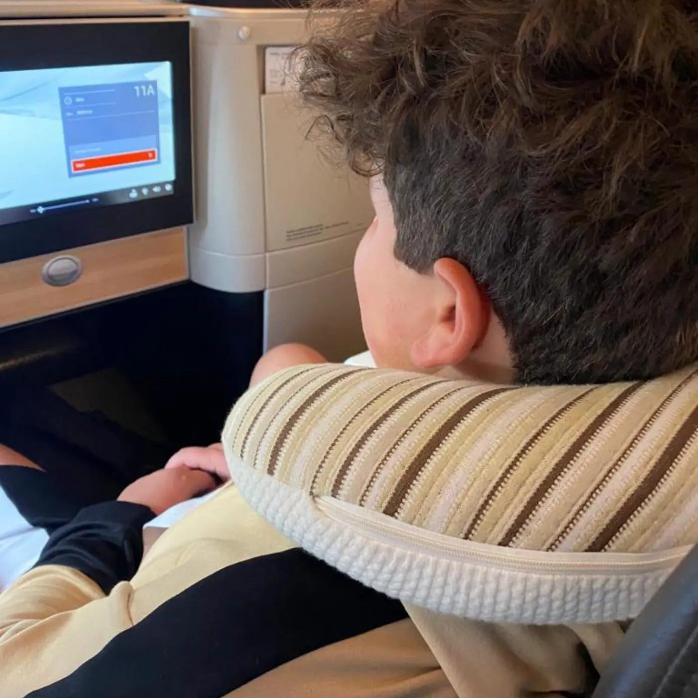 Er GO Organic Travel Neck Pillow