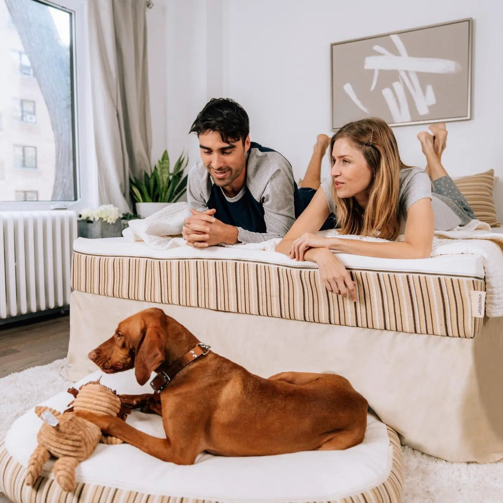 Woman and man on Essentia mattress while their dog relaxes on his Kingston dog bed on the floor